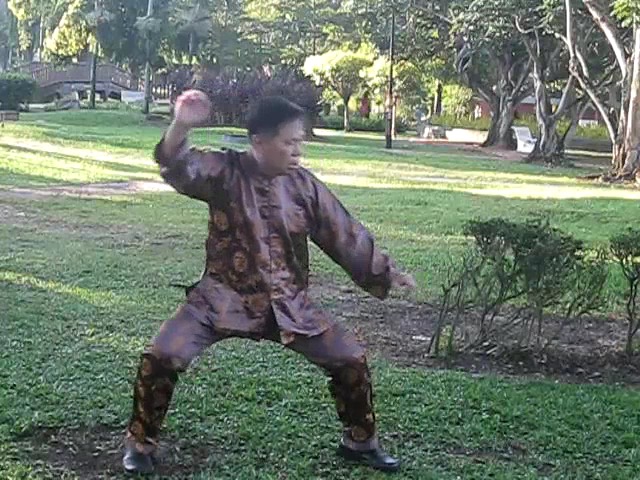 Wu Chuan You Style Taijiquan